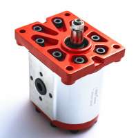 Constant flow gear pump